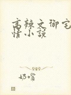 高辣文御宅屋浓情小说