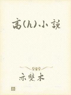 高(h)小说