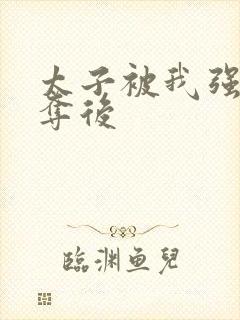 太子被我强取豪夺后