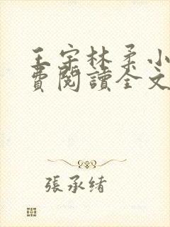 王宇林柔小说免费阅读全文最新章节