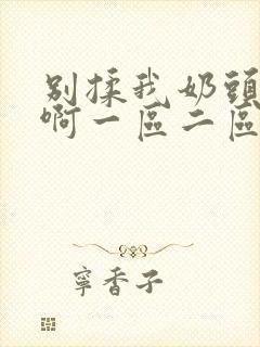 别揉我奶头～嗯啊一区二区