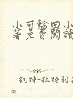 小可轮回小说原著免费阅读封面