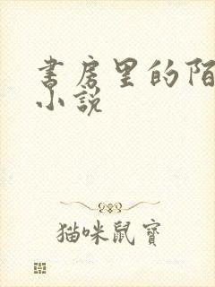 书房里的陌生人小说封面