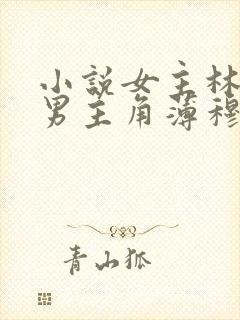 小说女主林恩恩男主角薄穆寒的小说