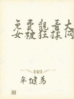 免费观看大乳美女被狂揉网站