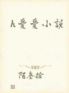 h爱爱小说