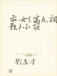 乖女(高h,调教)小说