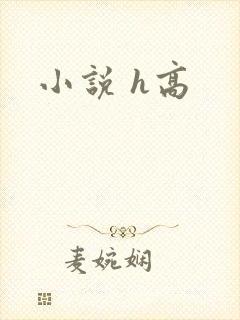 小说 h高