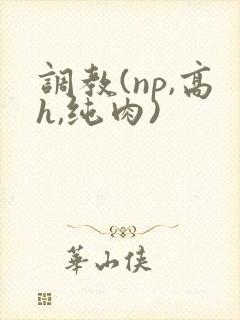 调教(np,高h,纯肉)