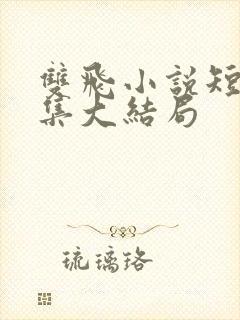 双飞小说短篇合集大结局封面