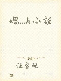 嗯...h小说
