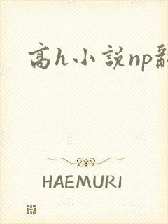 高h小说np乱