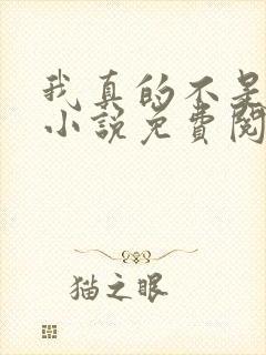 我真的不是反派小说免费阅读