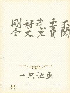 刚好我要不爱你全文免费阅读