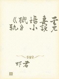 《职场妻子的出轨》小说免费阅读