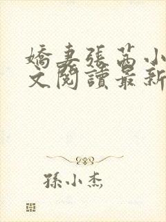 娇妻张茜小说全文阅读最新章节更新