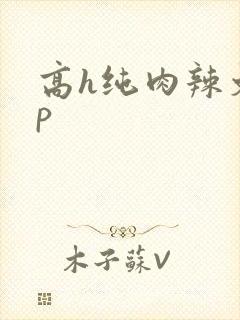 高h纯肉辣文np