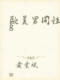 欧美男同性恋18封面