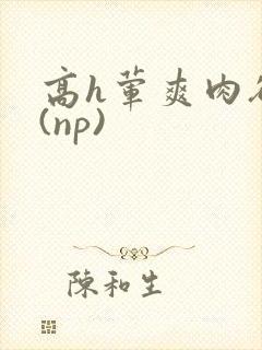 高h荤爽肉欲文(np)