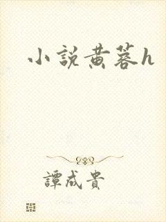 小说黄蓉h封面