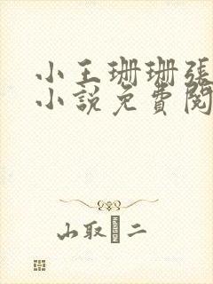 小王珊珊张哥的小说免费阅读