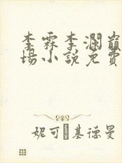 李霖李澜巅峰官场小说免费阅读封面