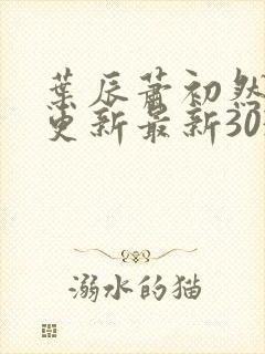 叶辰萧初然刚刚更新最新3030章