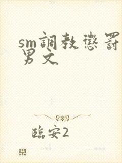 sm调教惩罚男男文