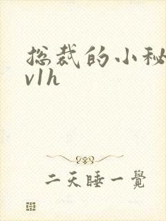 总裁的小秘书1v1h