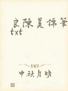 良陈美锦笔趣阁txt