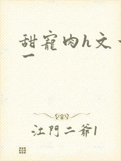 甜宠肉h文一对一封面