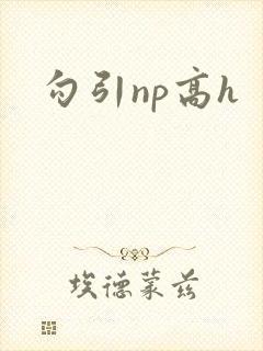 勾引np高h