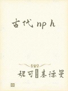 古代 np h封面