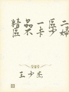 精品一区二区三区不卡少妇av