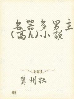 名器多男主喷水(高h)小说封面