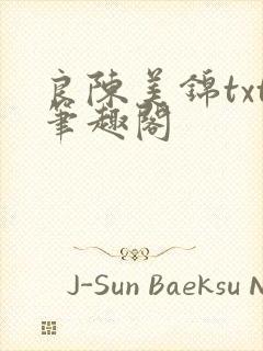 良陈美锦txt笔趣阁