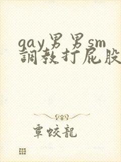 gay男男sm调教打屁股惩罚