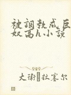 被调教成巨乳奶奴高h小说