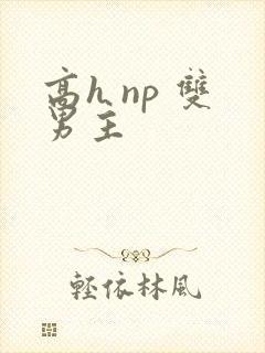 高h np 双男主