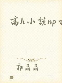 高h小说np古