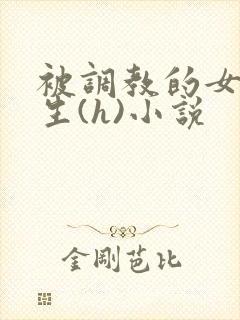 被调教的女高中生(h)小说封面