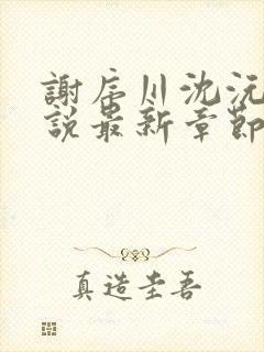 谢序川沈沅珠小说最新章节免费阅读