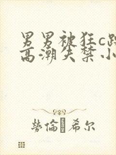 男男被狂c躁到高潮失禁小说