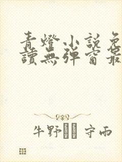 青灯小说免费阅读无弹窗最新章节