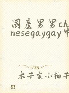国产男男chinesegaygay中国帅哥网站