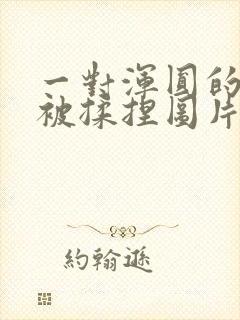 一对浑圆的胸乳被揉捏图片封面