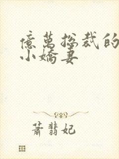 亿万总裁的独宠小娇妻