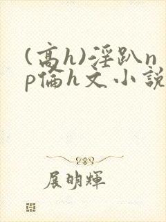 (高h)淫趴np伦h文小说封面