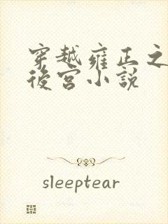 穿越雍正之极品后宫小说