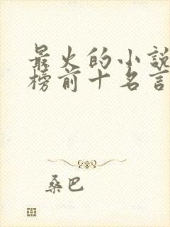 最火的小说排行榜前十名言情